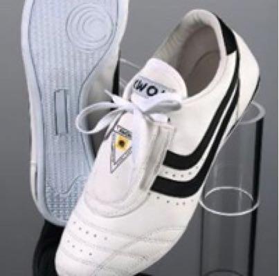 B1. Premium Adult Training Shoe