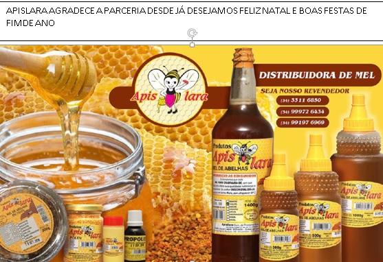 MEL ABELHAS APIS-LARA