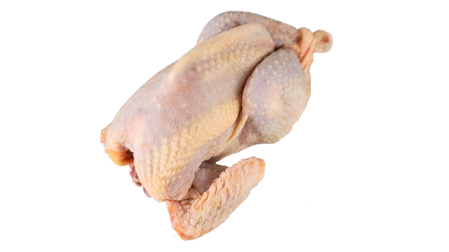Gallina semi fresca 1,2 a 1,5 pz