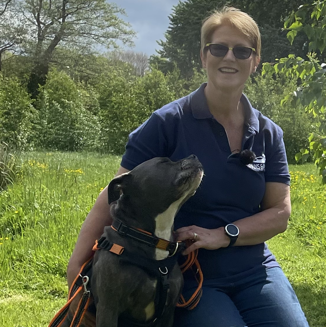 Baxter and Bella Dog First Aid Training Paws and Play incl. Dog First Aid