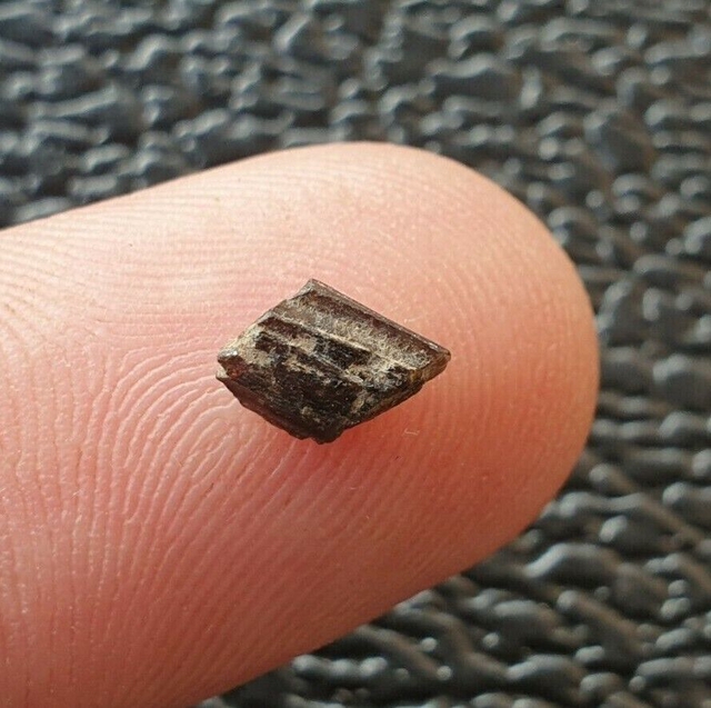 Painite brute de Birmanie 1,15 ct mineral rare minéraux bijou burma mogok gems