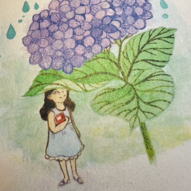 Herbarium - Hydrangea