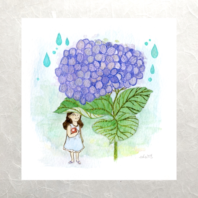 Herbarium - Hydrangea