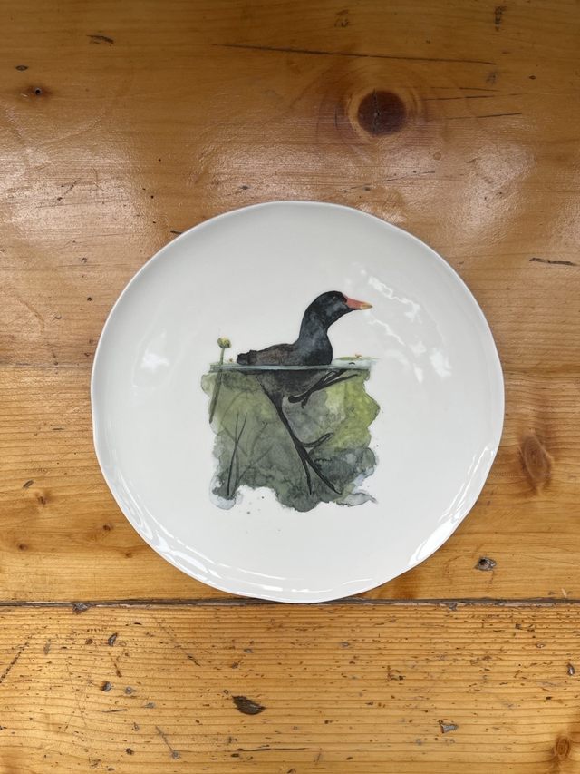 Teller Vulcano - Teichralle - Wiener Wildnis