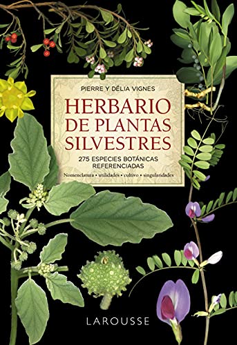 Herbario de plantas silvestres - Pierre Vignes
