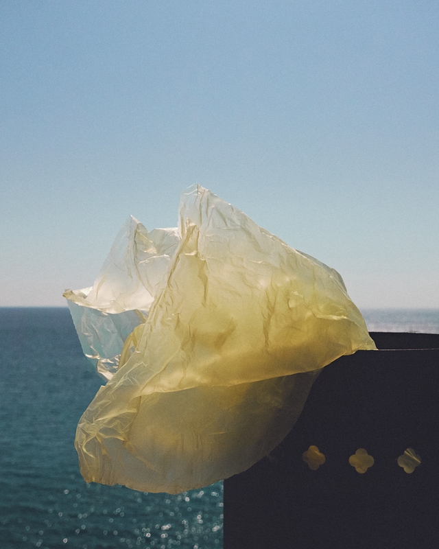 Print »Mülleimer«