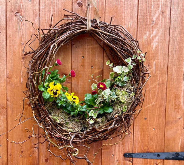 live plant spring wreath - yellow, pink, ivy - Medium
