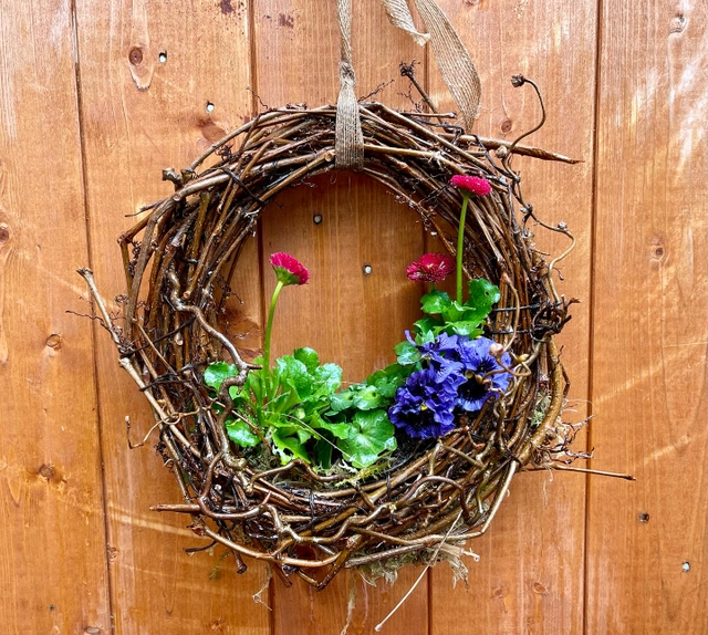 live plant spring wreath - small - blue, pink 