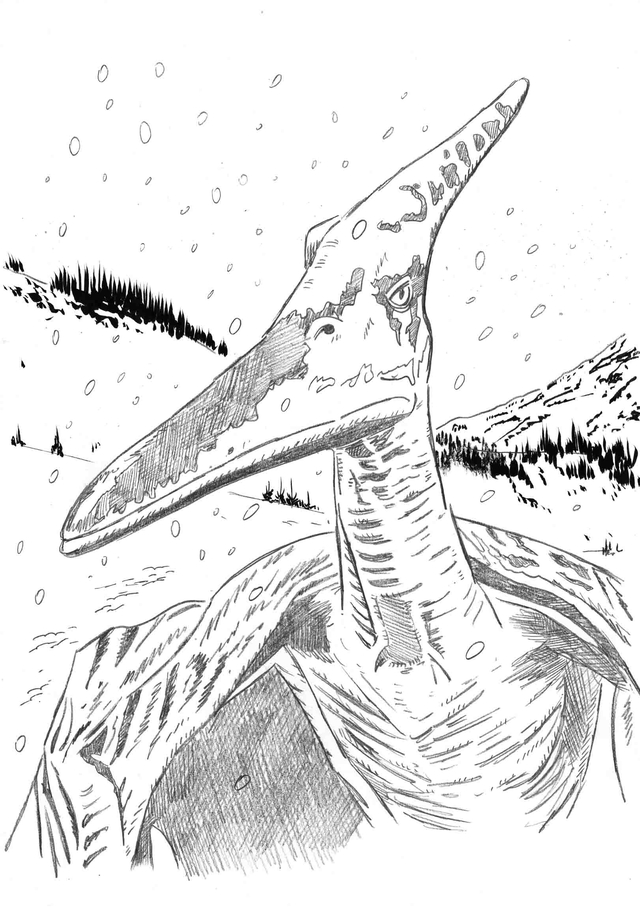 LES DEMONS DES CARPATHES (Tirage de tête noir et blanc en série limitée)