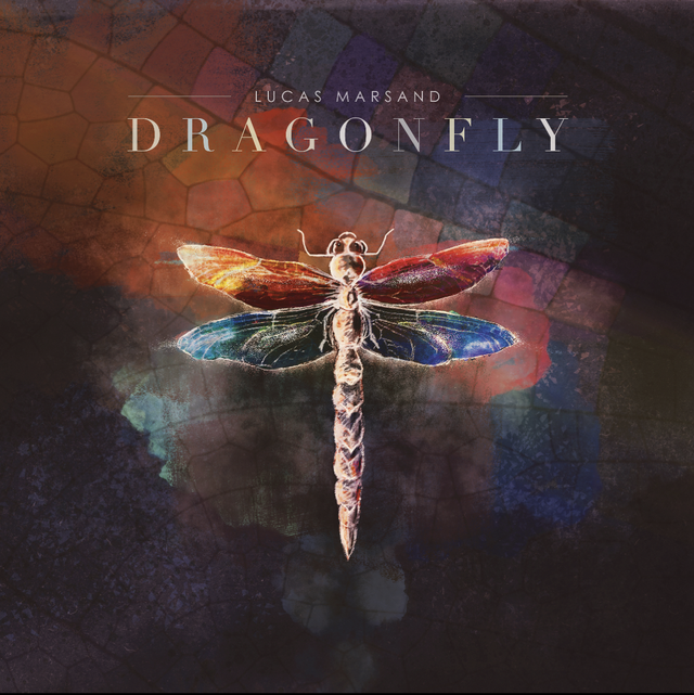Vinyl LP Dragonfly