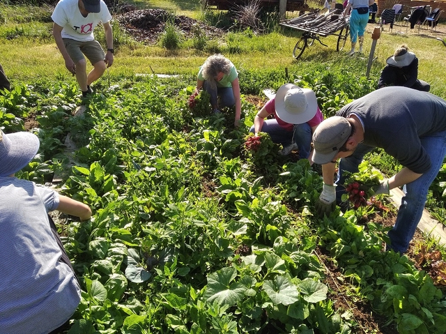 Séance du 20 novembre 2024