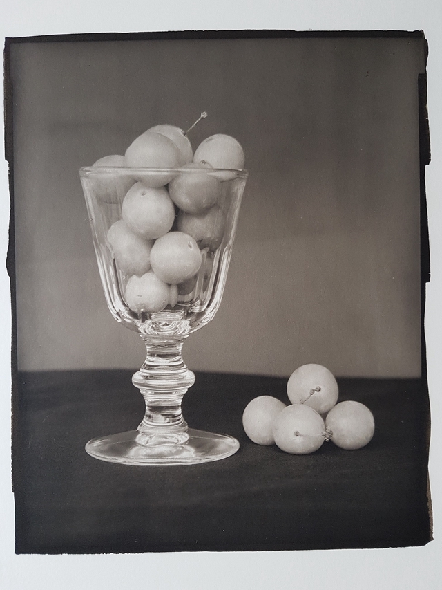 Christian Guyomarch_Mirabelles et transparence, platine palladium
