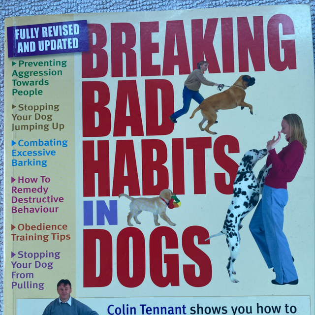 Breaking Bad Habits In Dogs Paddock Kennels Darlington