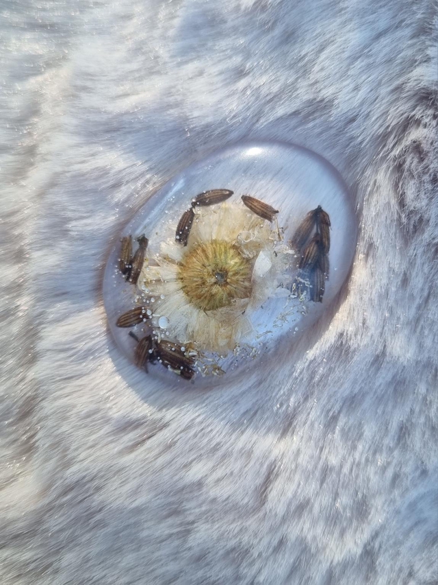 Sérénité - Worry Stone #16