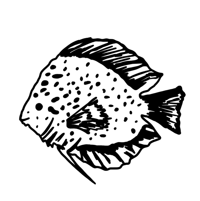 Mini Stempel links und rechts