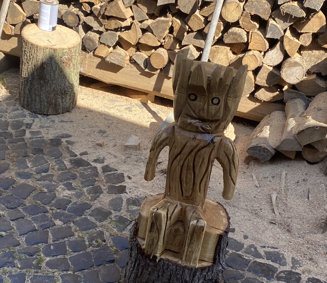 Groot aus Eiche 