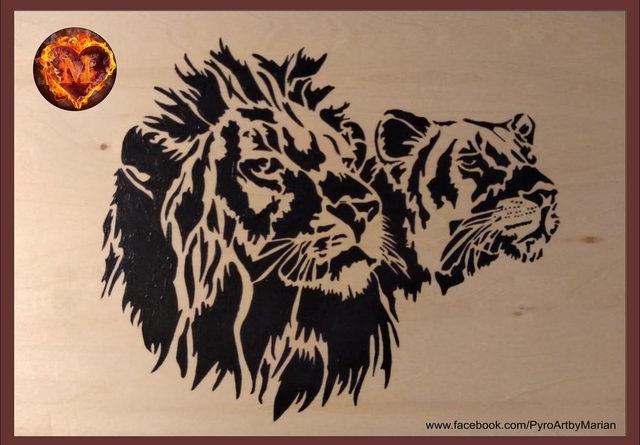 The King and his Queen π¦π