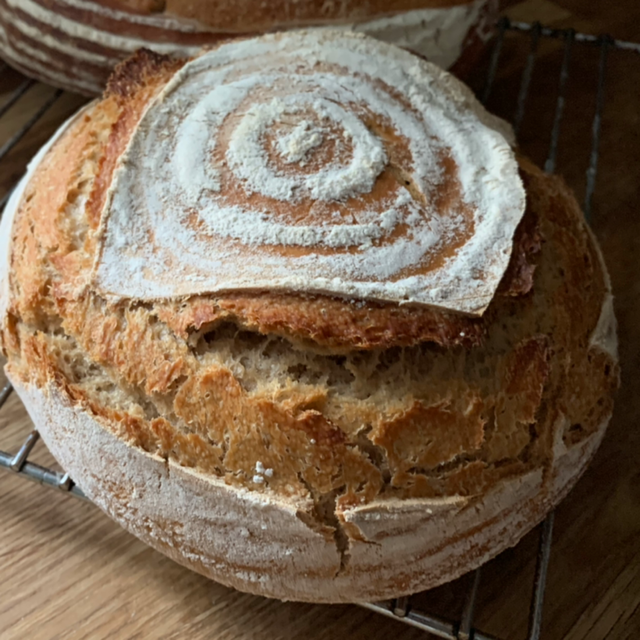 White Sourdough Boule Sourdough Dave The artisan bread man