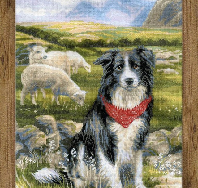 Riolis Border Collie Cross Stitch Kit 14 Count Aida Fabric Embroidery