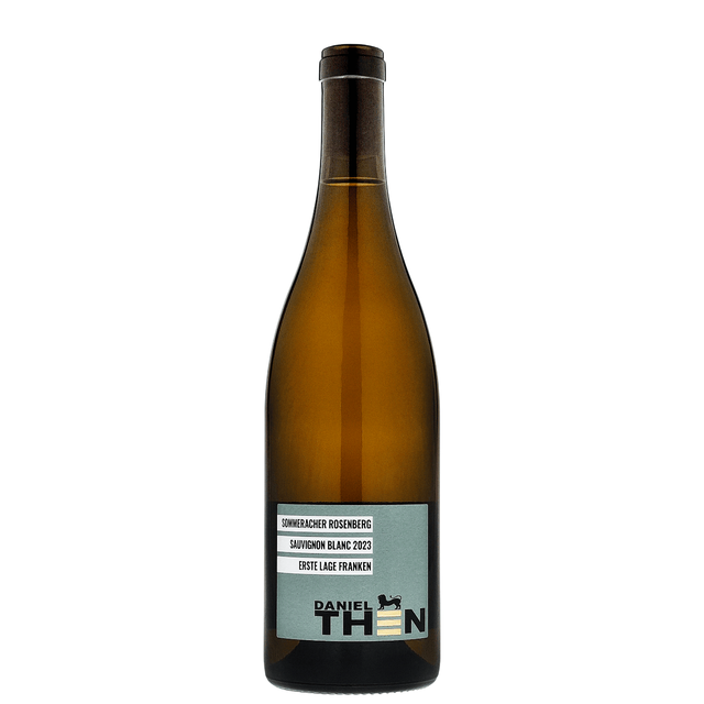 Daniel Then Bio-Weingut - 2023 Sauvignon Blanc Erste Lage trocken 0,75l