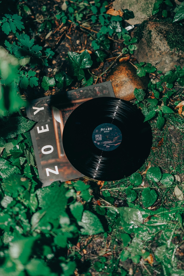 DIARY EP - VINYL (Konzertverkauf)