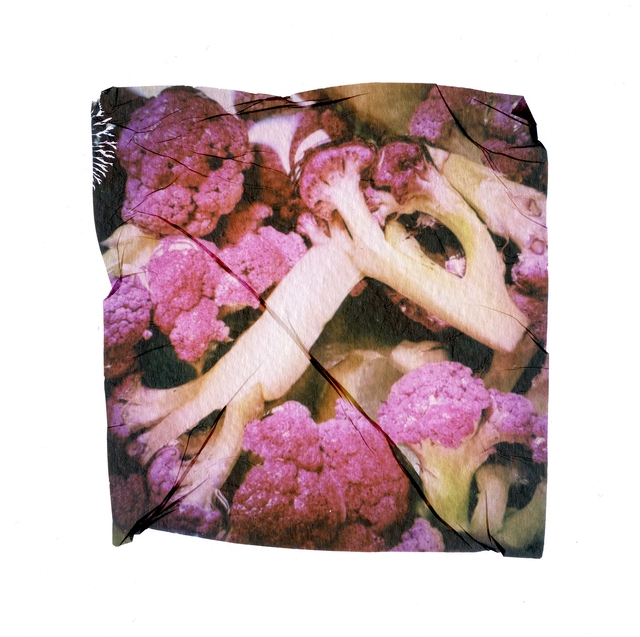 Kitchen Artwork - Polaroid Emulsion Lift Purple Cauliflower - 12x12 inches