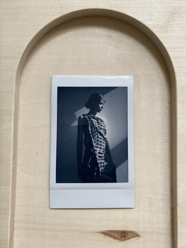 Dead Birds & Lionheart Instant Photo 5.