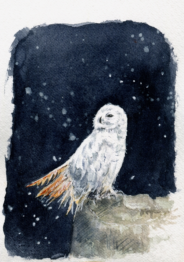 FineArt-Print - Schneeeule in Aquarell