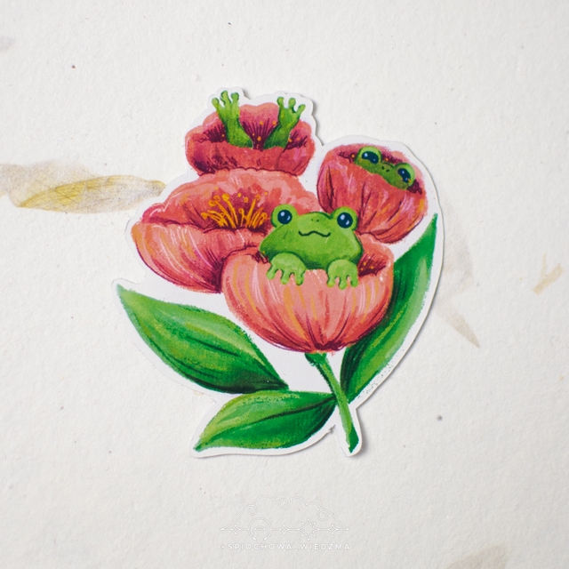 Żabki w makach | ZWIERZĘTA