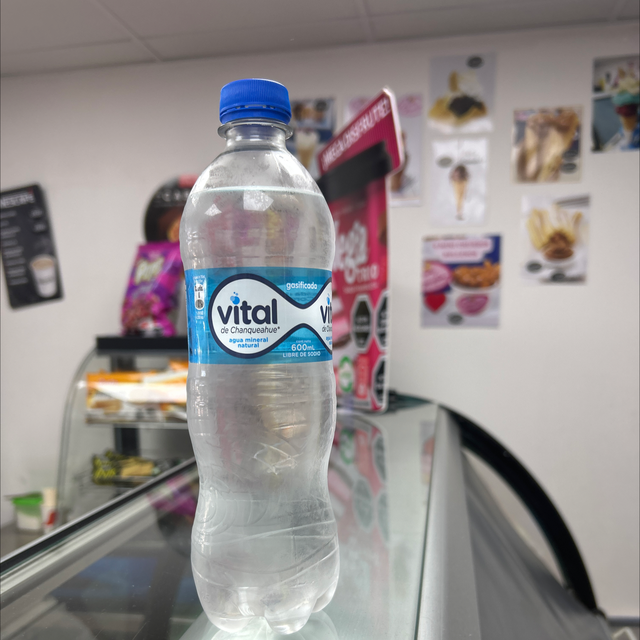 Vital Con Gas 600Ml