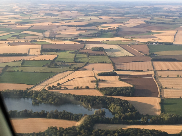 Fly Therapy Flight - 10 Mins