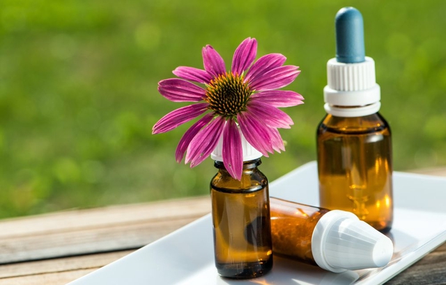 26.-PREPARADO FLORES DE BACH (Patrón Natal de Nuevo Método Integrativo) (Presencial)