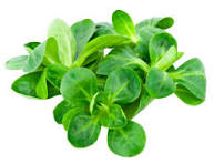 Ackersalat regional 100g  (1kg = 19,99) 