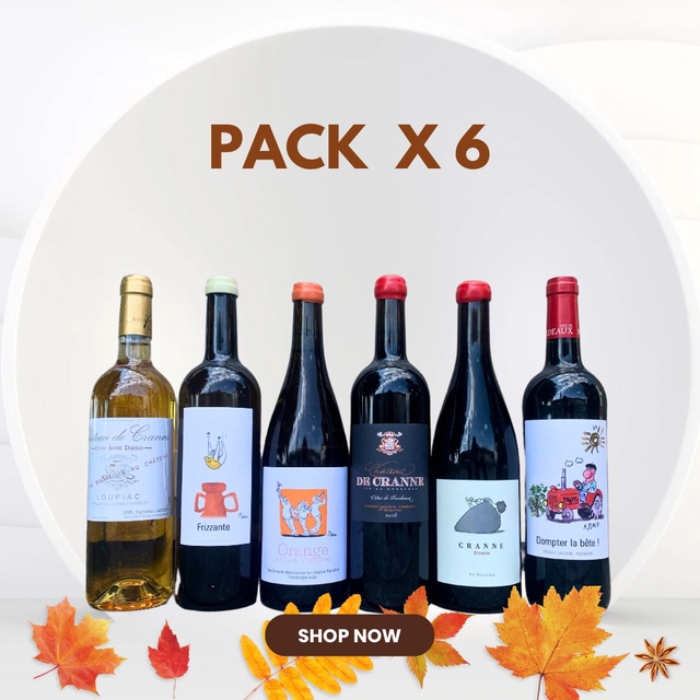 Pack Vin Bio Best Seller Implantation 6 bouteilles
