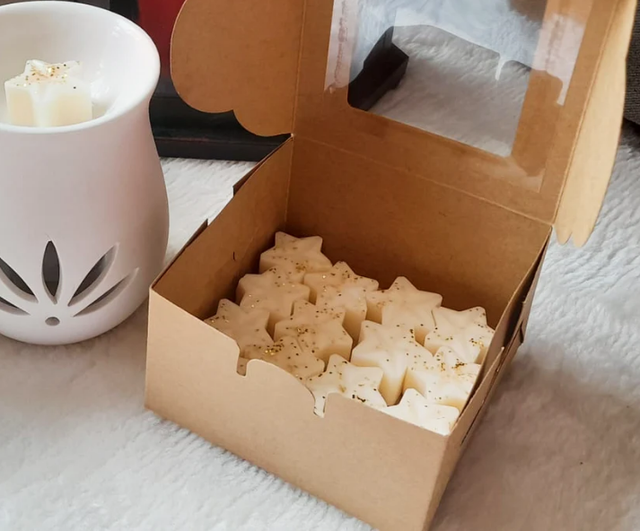 Rilanz Duftsternchen für Duftlampe - Zwetschge Pflaume & Rose - WAX MELTS - Brenndauer ca. 3-4 Stunden pro Duftstern