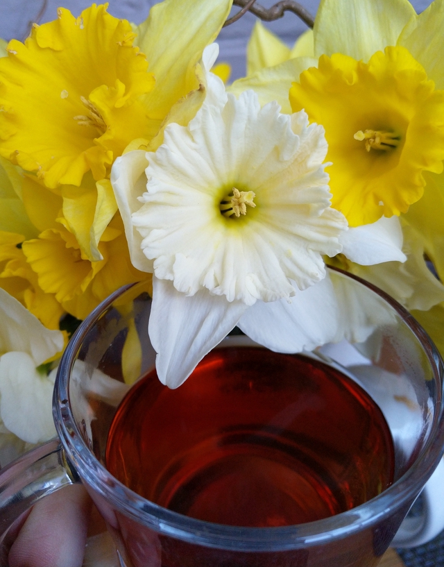 Geschenkbon / giftvoucher