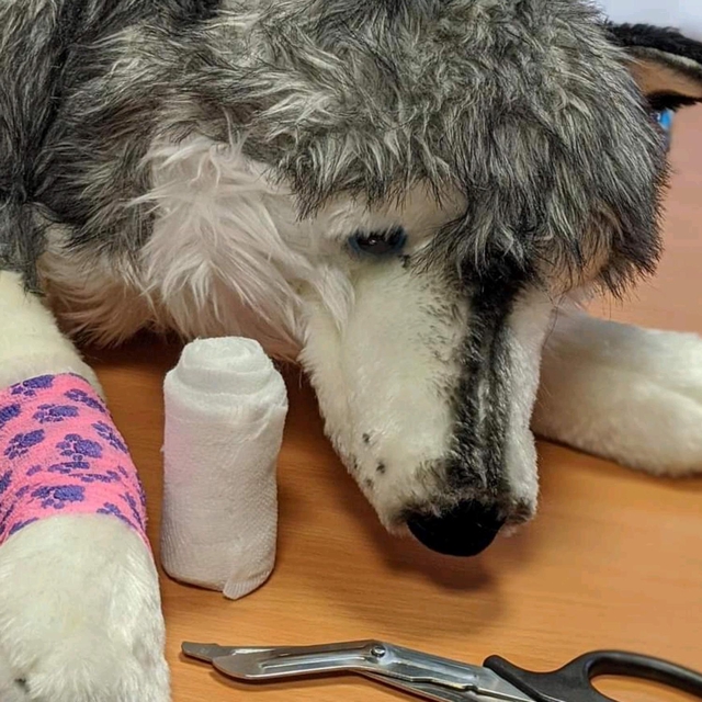 Level 2 Canine First Aid Course