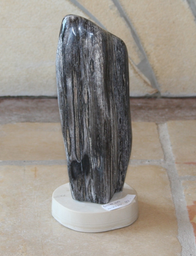 Fossiles Holz mit Steinsockel