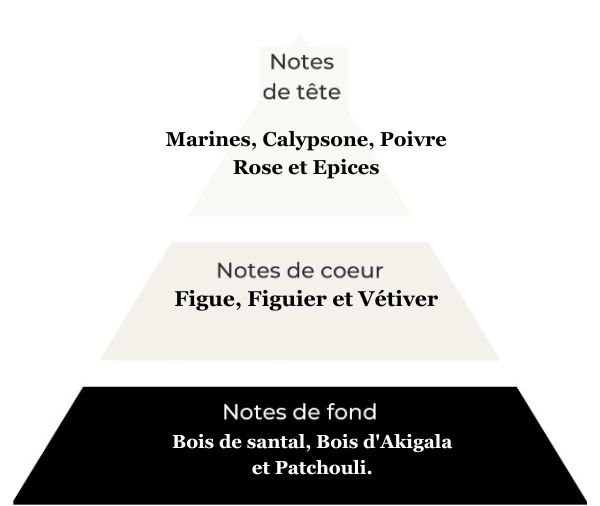 D6075 Enzo a son eau de toilette intense.