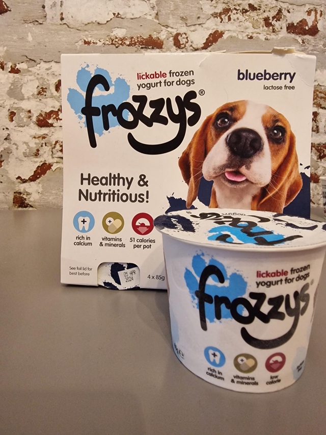 Frozzys Lickable Frozen Yoghurt Blueberry