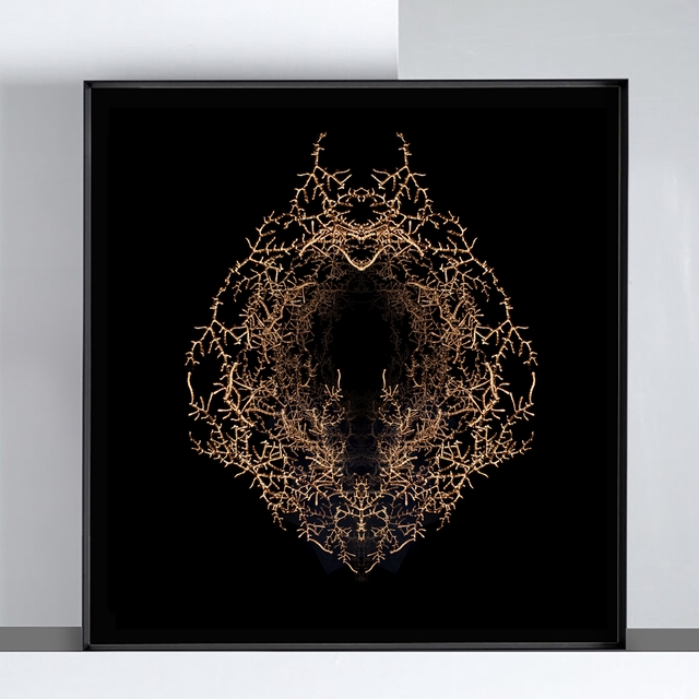 Filon de timidité n°4 | Tirage 1/8