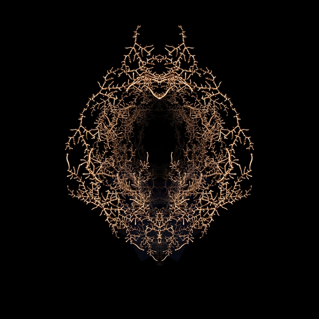 Filon de timidité n°4 | Tirage 1/8