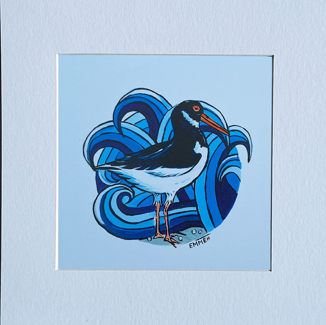 Oyster Catcher Print