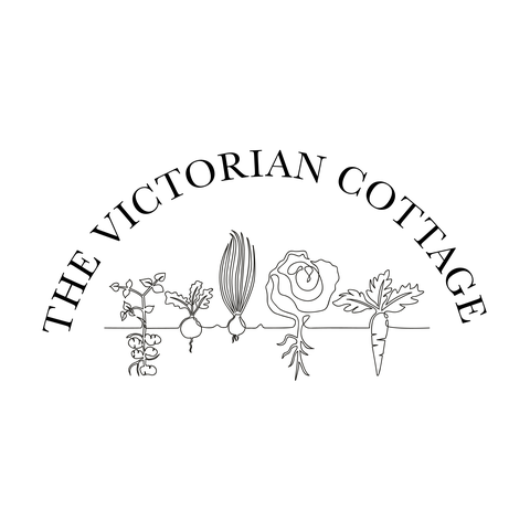 store_logo