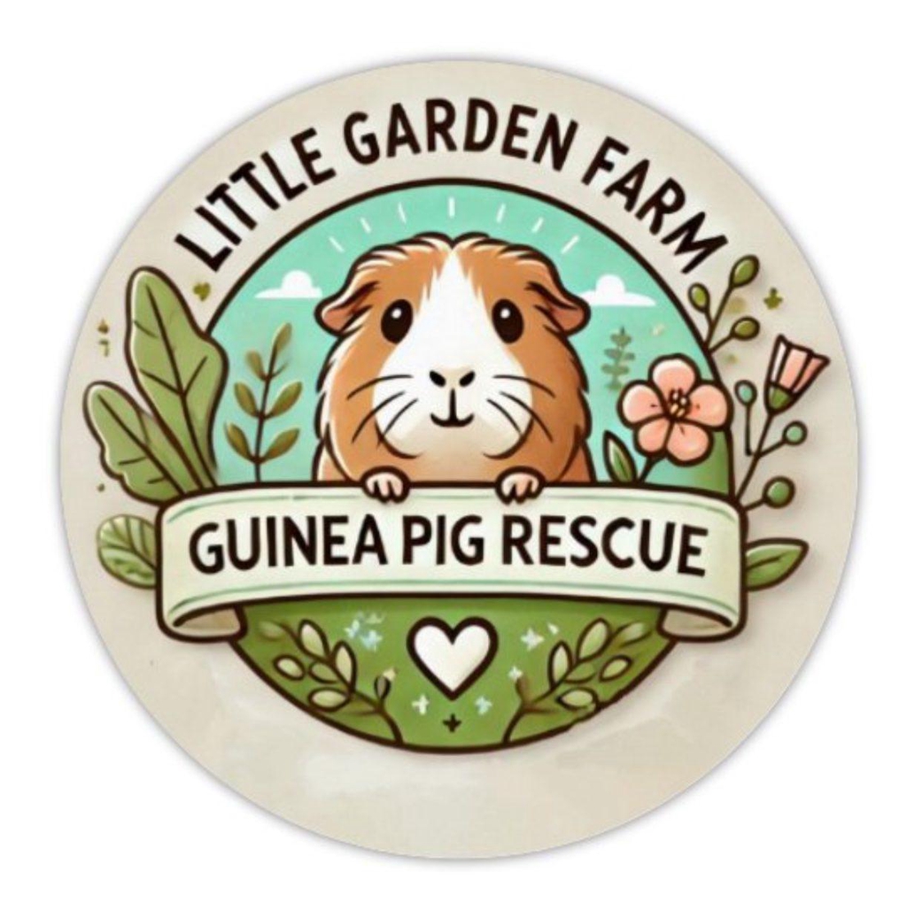 Little Garden Farm Guinea Pig Rescue