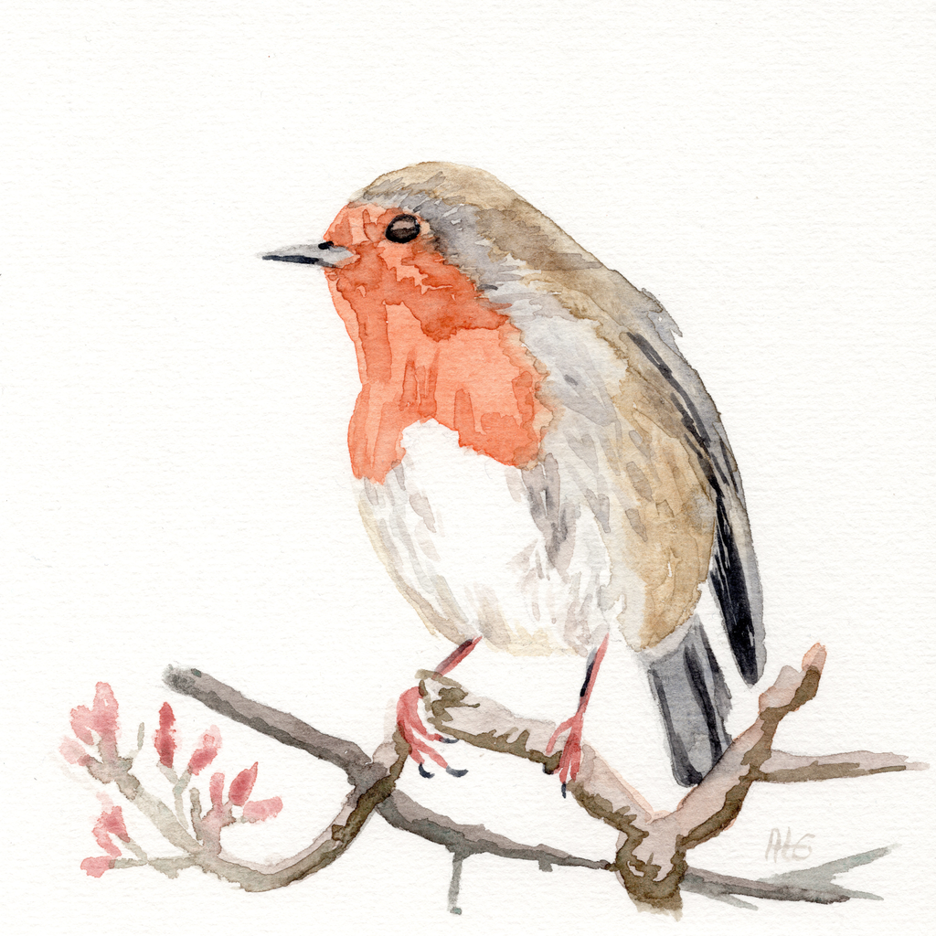 "Rouge gorge", aquarelle originale 14,8x21 cm