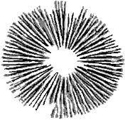 Espacio para realizar tus donaciones voluntarias.

Space to make your voluntary donations.
