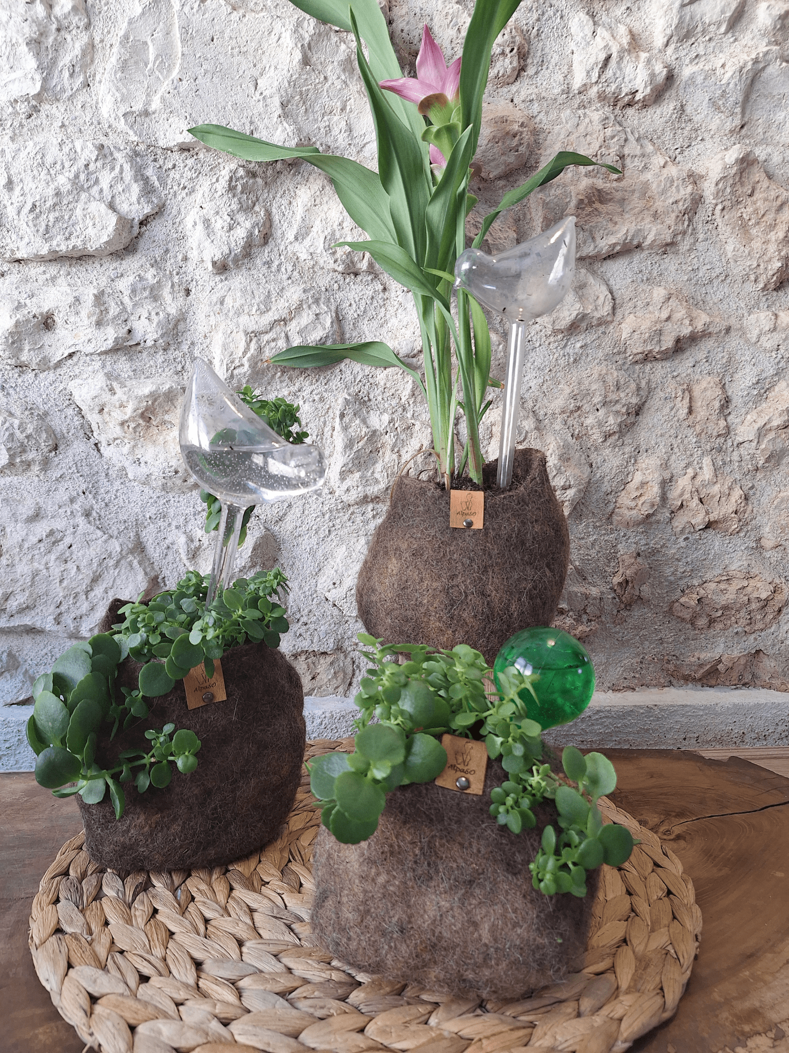 Pots fleuris