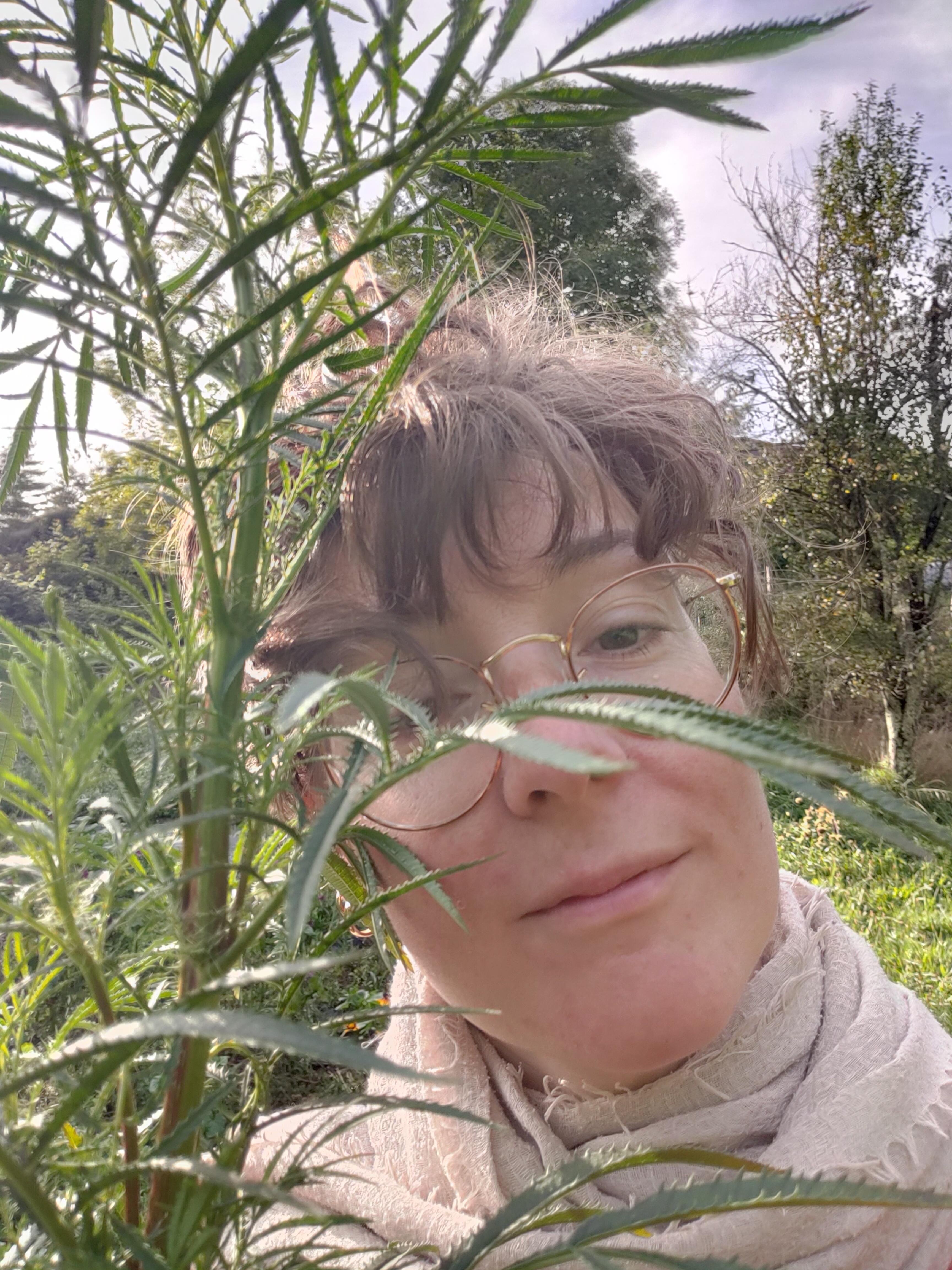 Manon, la productrice de plantes médicinales de TIsanes et Bourgeons, derrière une tagète passion.