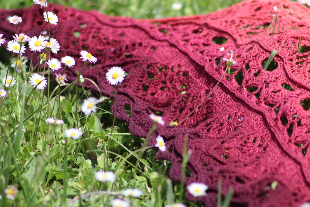 banner_image